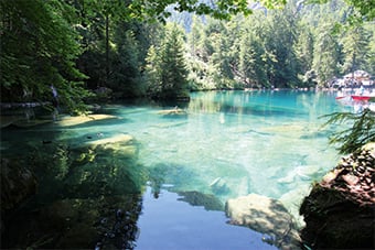 17-03_PRAXIS_XTRA_Energieeffiziente_Bio-Forellenzucht_beim_Blausee_340xHoehe